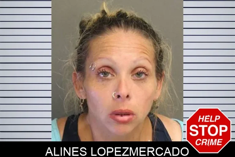 Alines Lopezmercado