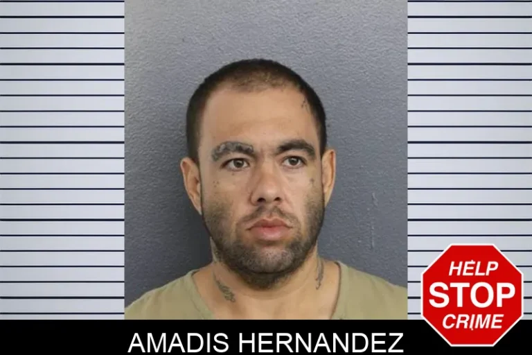 Amadis Hernandez