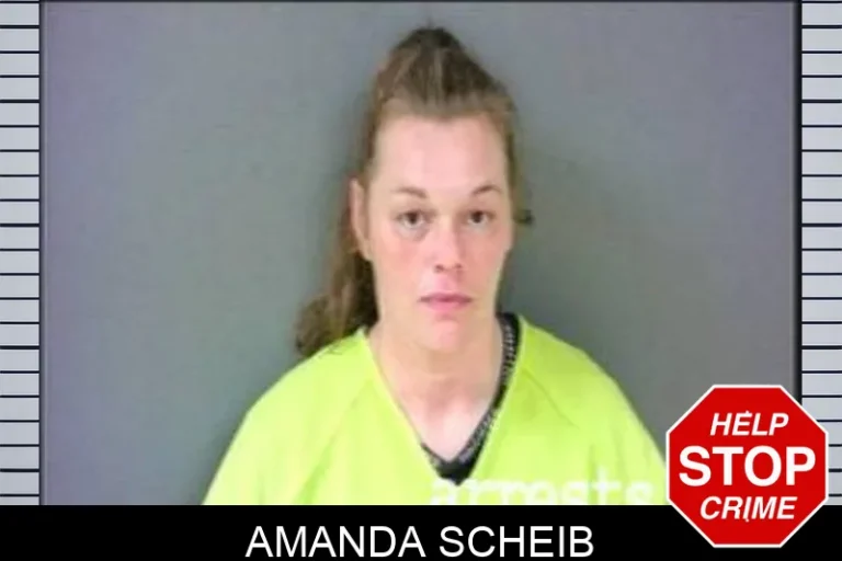 Amanda Scheib