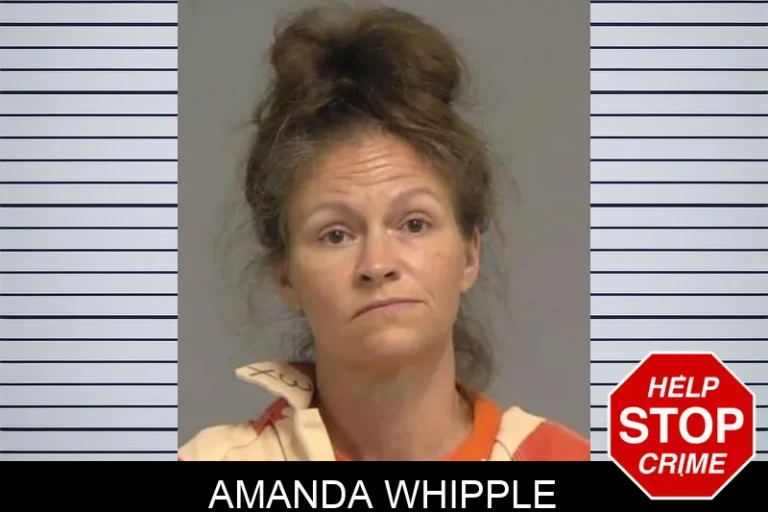 Amanda Whipple