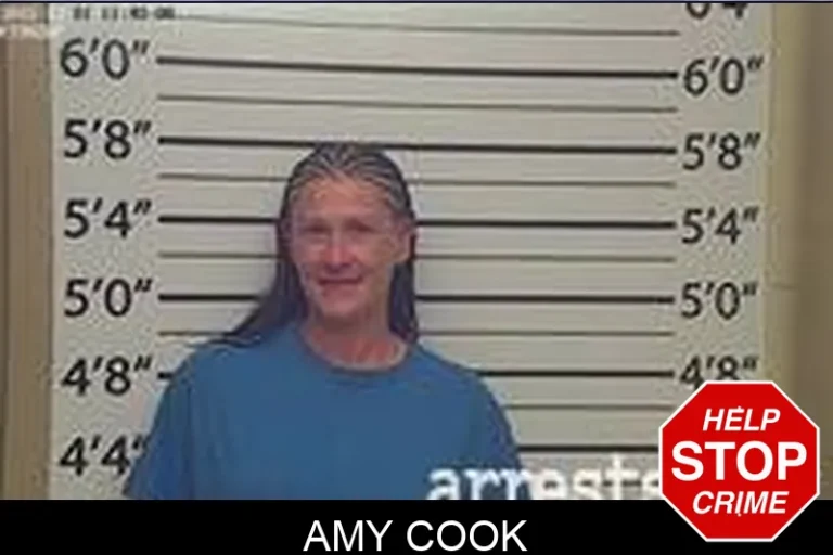 Amy Cook