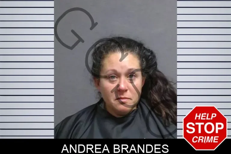 Andrea Brandes