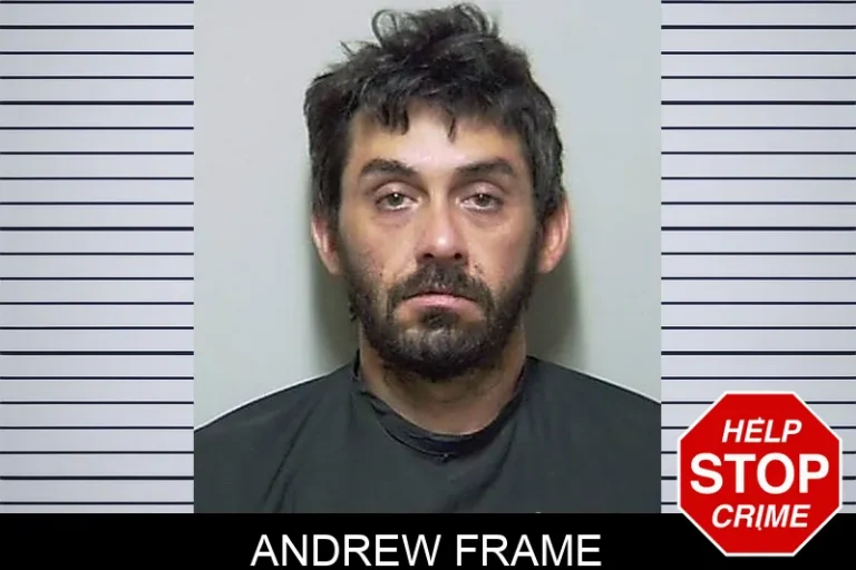 Andrew Frame