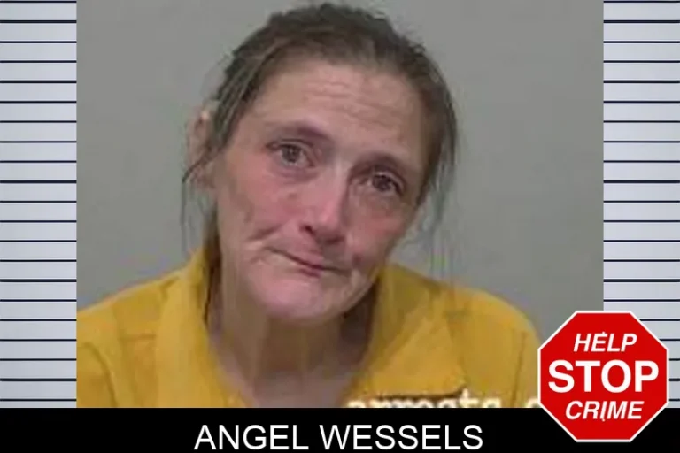 Angel Wessels