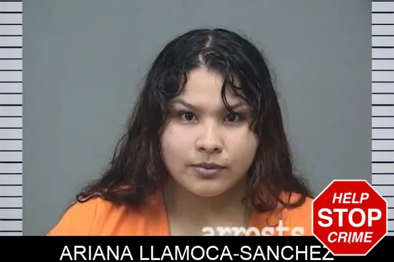Ariana Llamoca-Sanchez