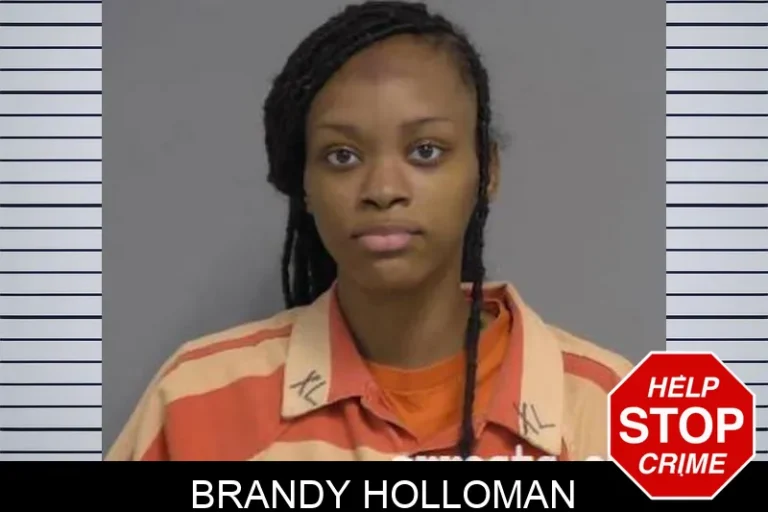 BRANDY HOLLOMAN