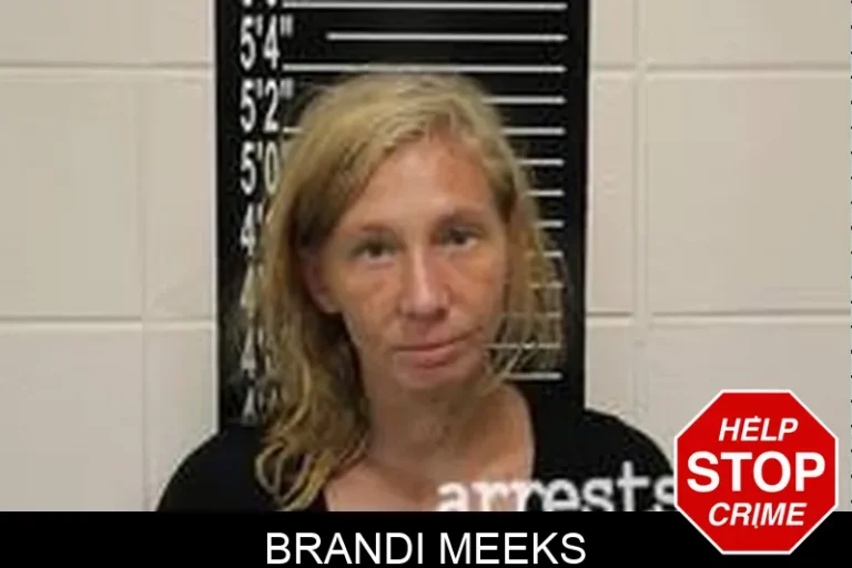 Brandi Meeks