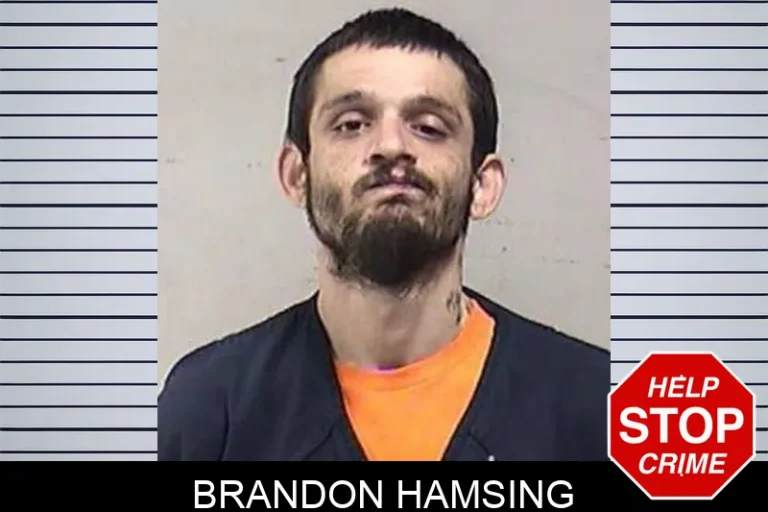 Brandon Hamsing