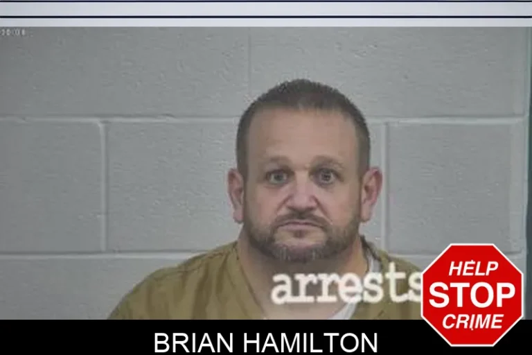Brian Hamilton