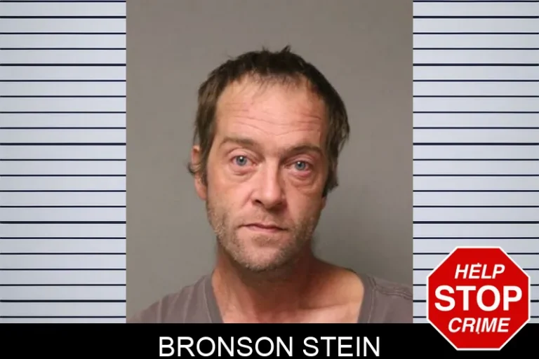 Bronson Stein