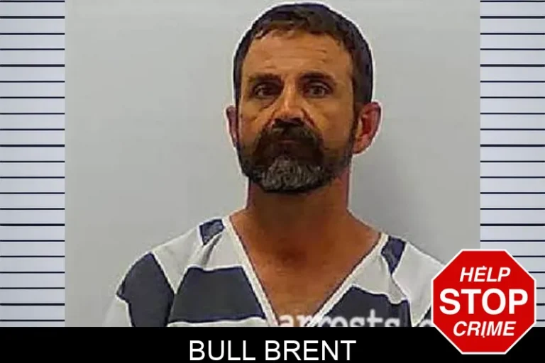 Bull Brent