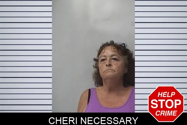 Cheri Necessary