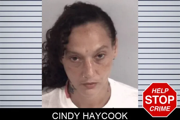Cindy Haycook