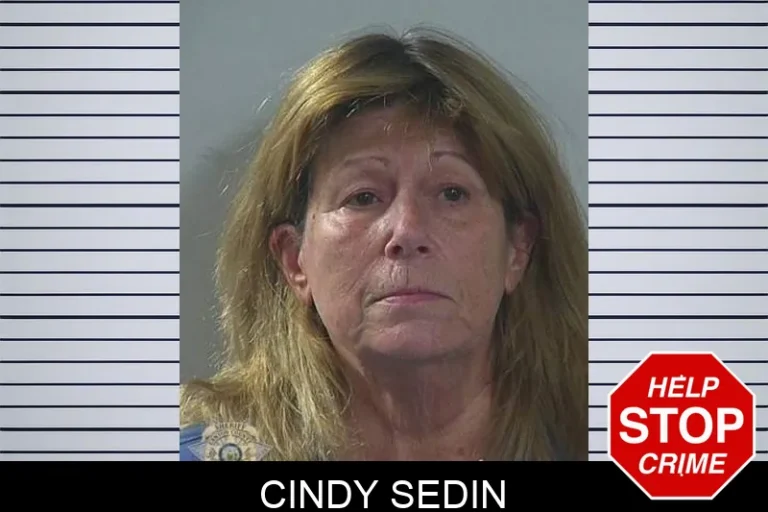 Cindy Sedin