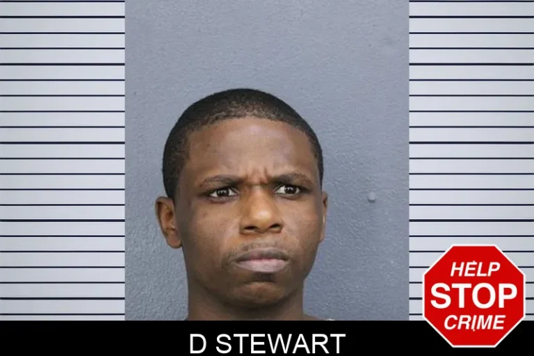 D Stewart