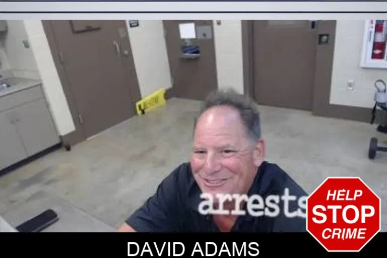 David Adams