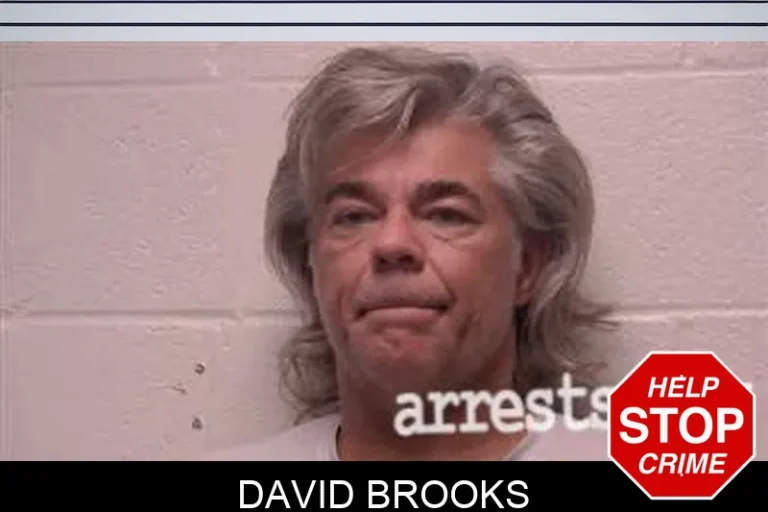David Brooks