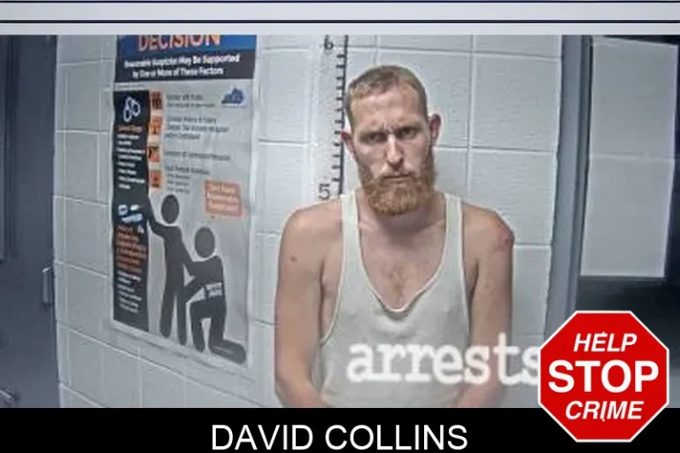 David Collins