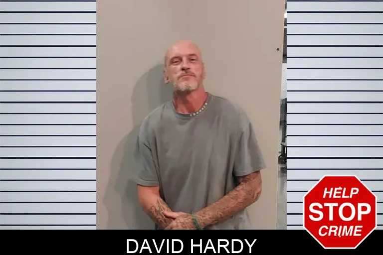 David Hardy