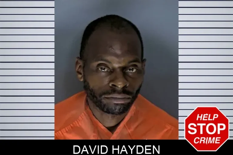 David Hayden