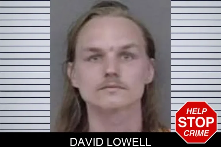 David Lowell