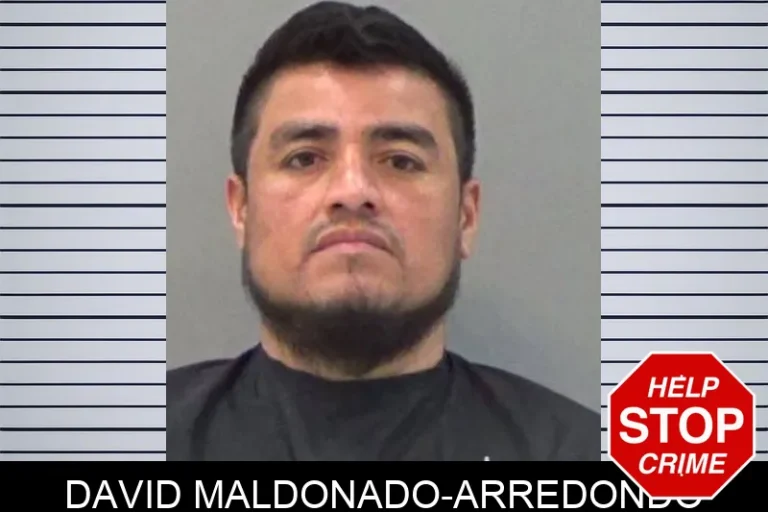 David Maldonado-Arredondo