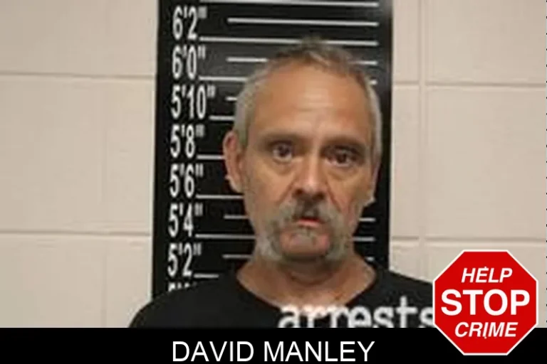 David Manley