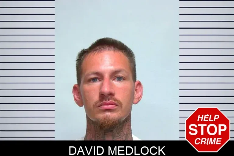 David Medlock