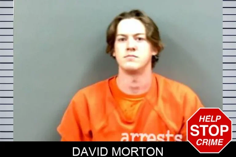 David Morton