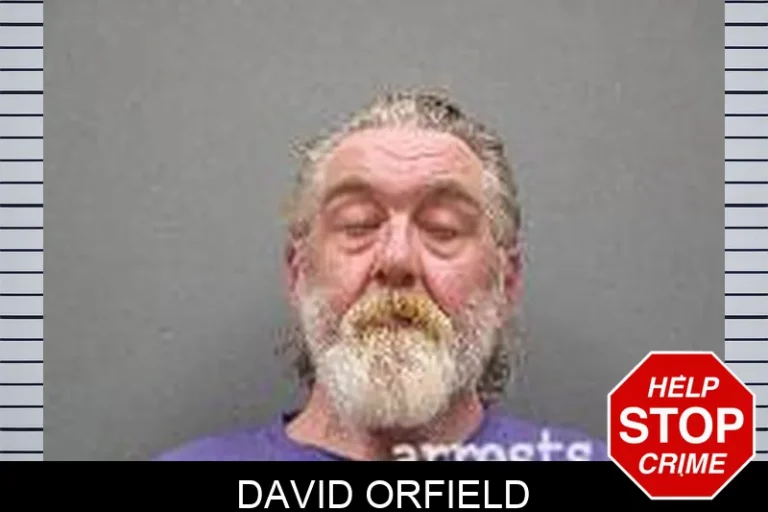 David Orfield