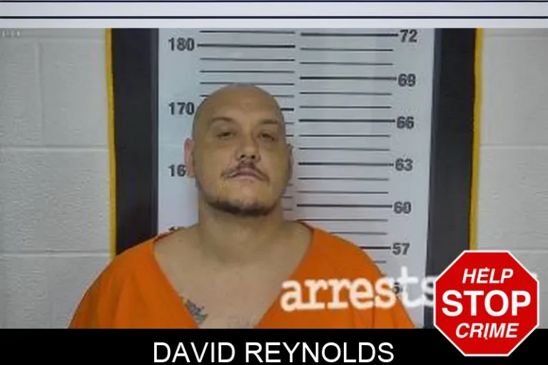 David Reynolds