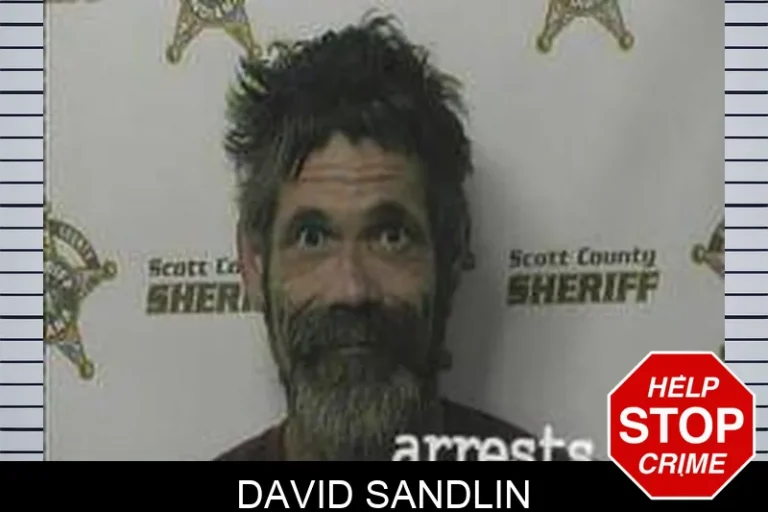 David Sandlin