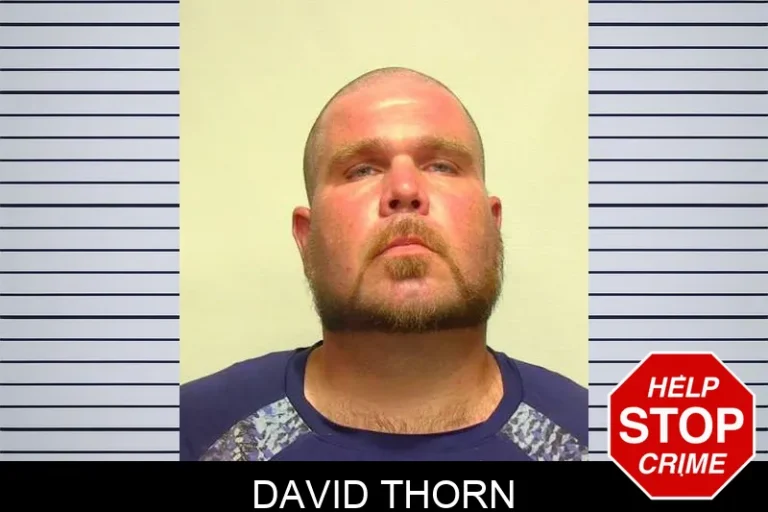 David Thorn
