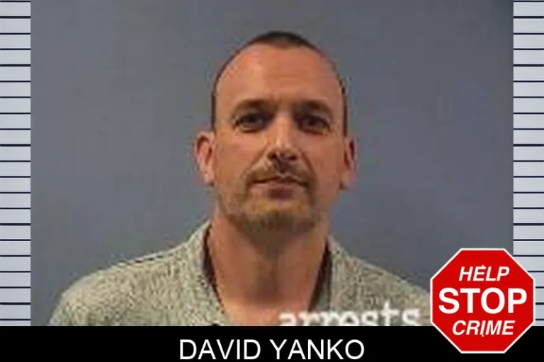 David Yanko