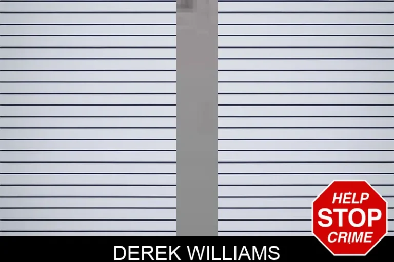 Derek Williams