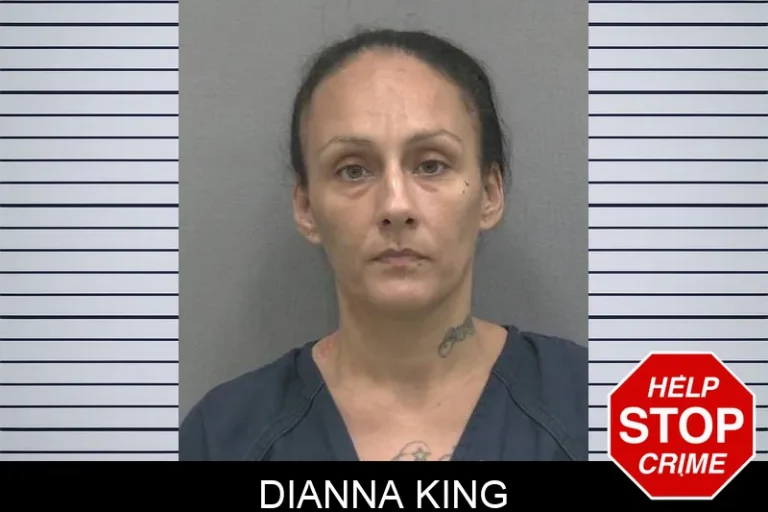 Dianna King