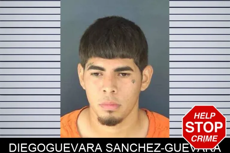 DiegoGuevara Sanchez-Guevara
