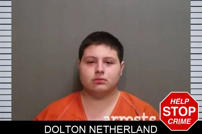 Dolton Netherland