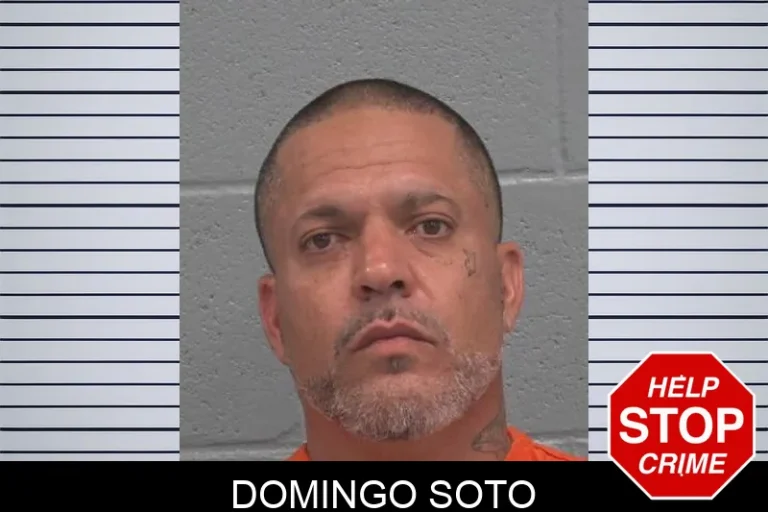 Domingo Soto