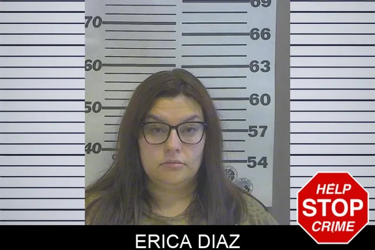 Erica Diaz