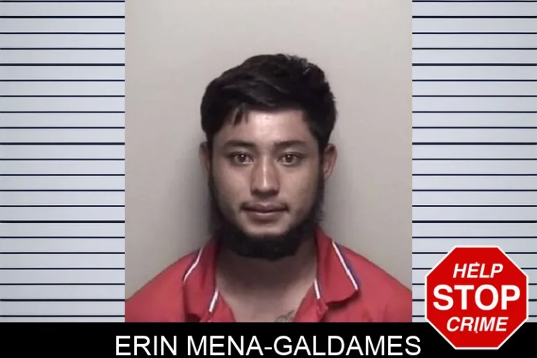 Erin Mena-Galdames