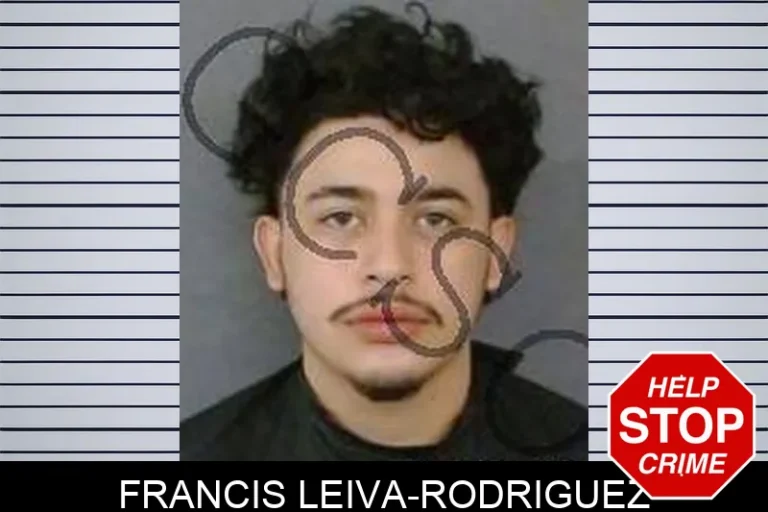 Francis Leiva-Rodriguez