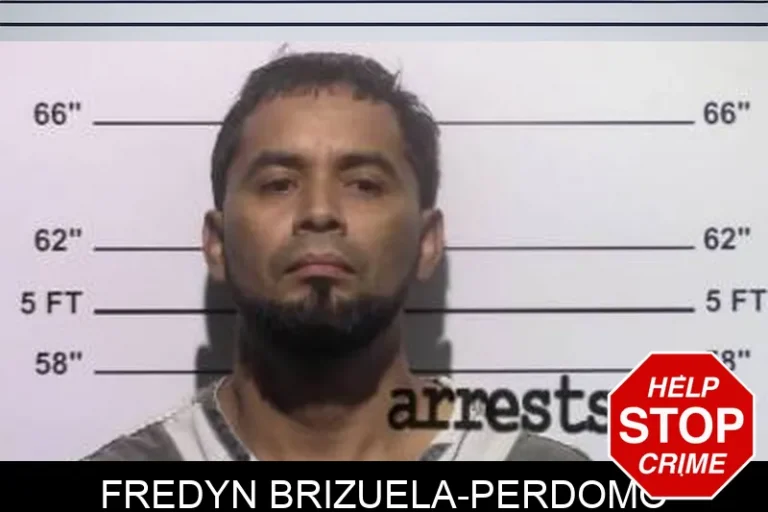 Fredyn Brizuela-Perdomo