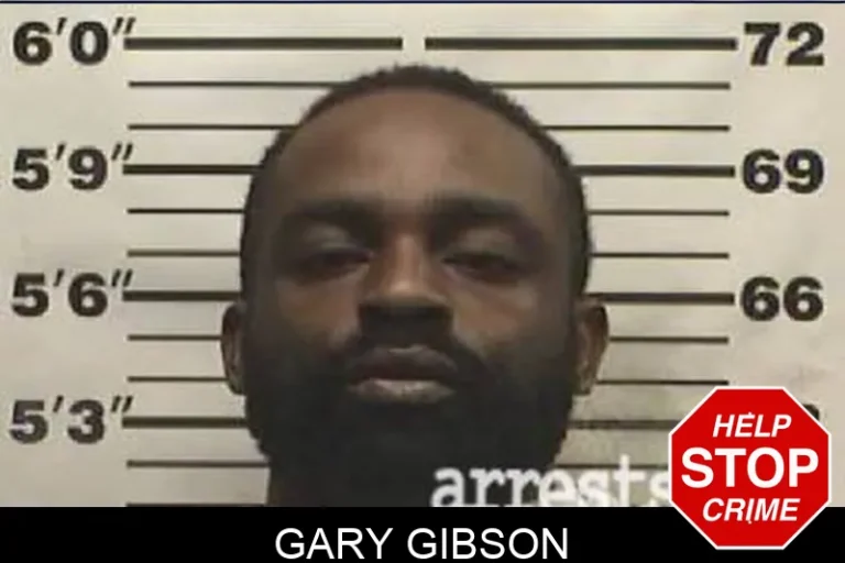 Gary Gibson