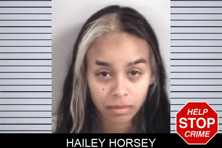 Hailey Horsey