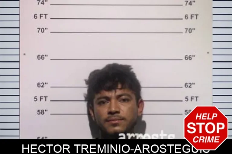 Hector Treminio-Arosteguis