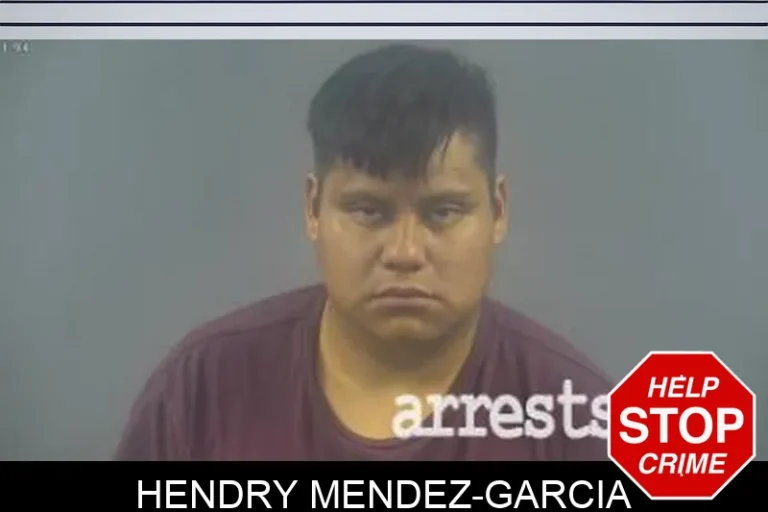 Hendry Mendez-Garcia