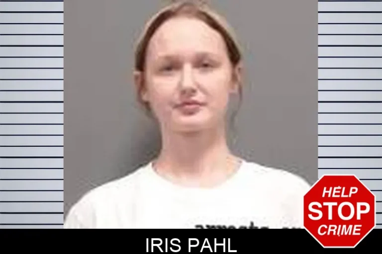 Iris Pahl