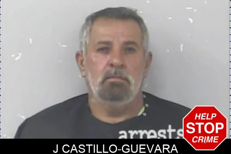 J Castillo-Guevara
