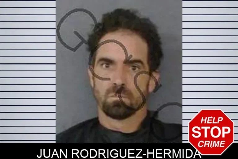 Juan Rodriguez-Hermida